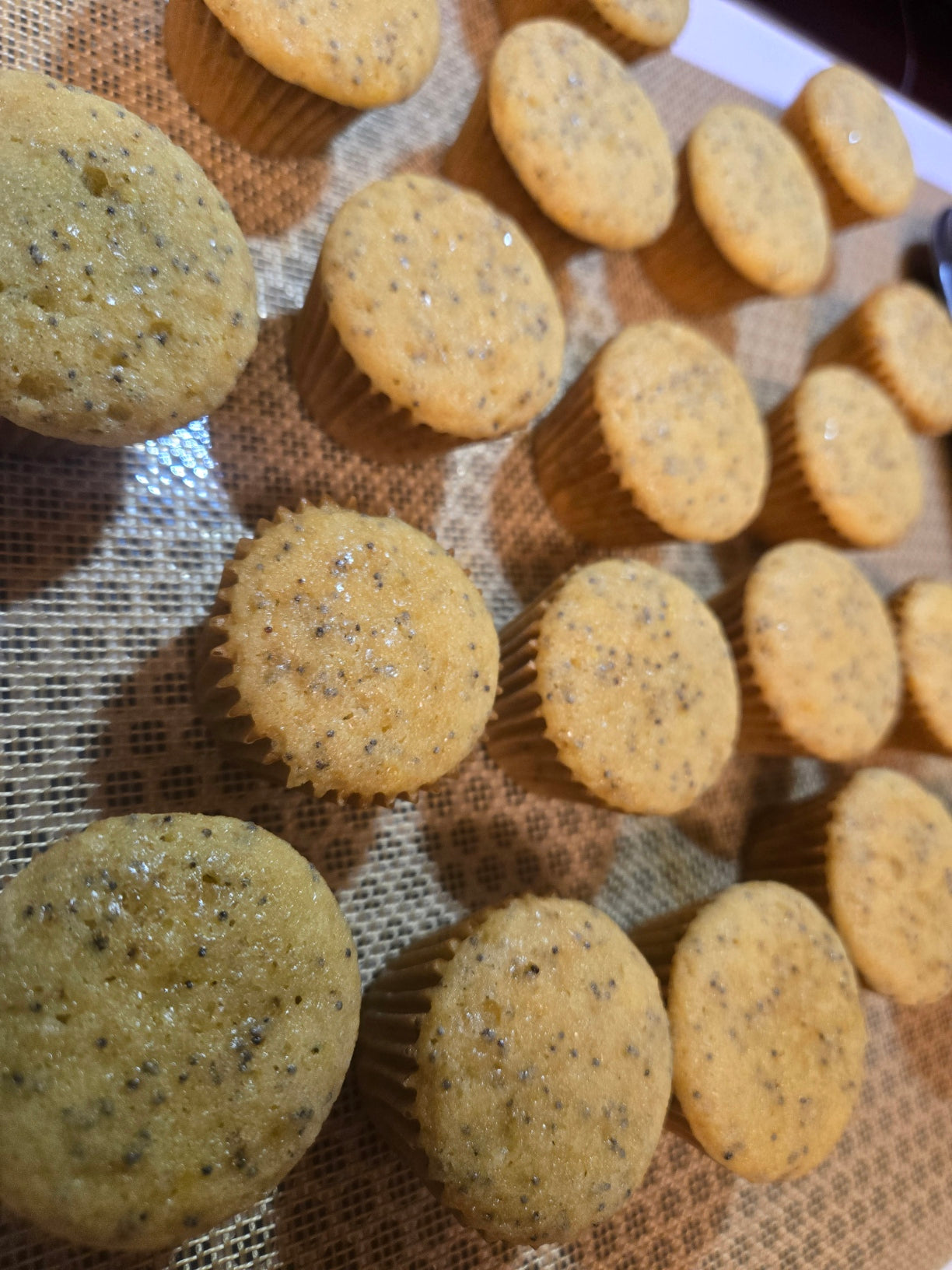 Holiday Mini Muffin 12-Packs