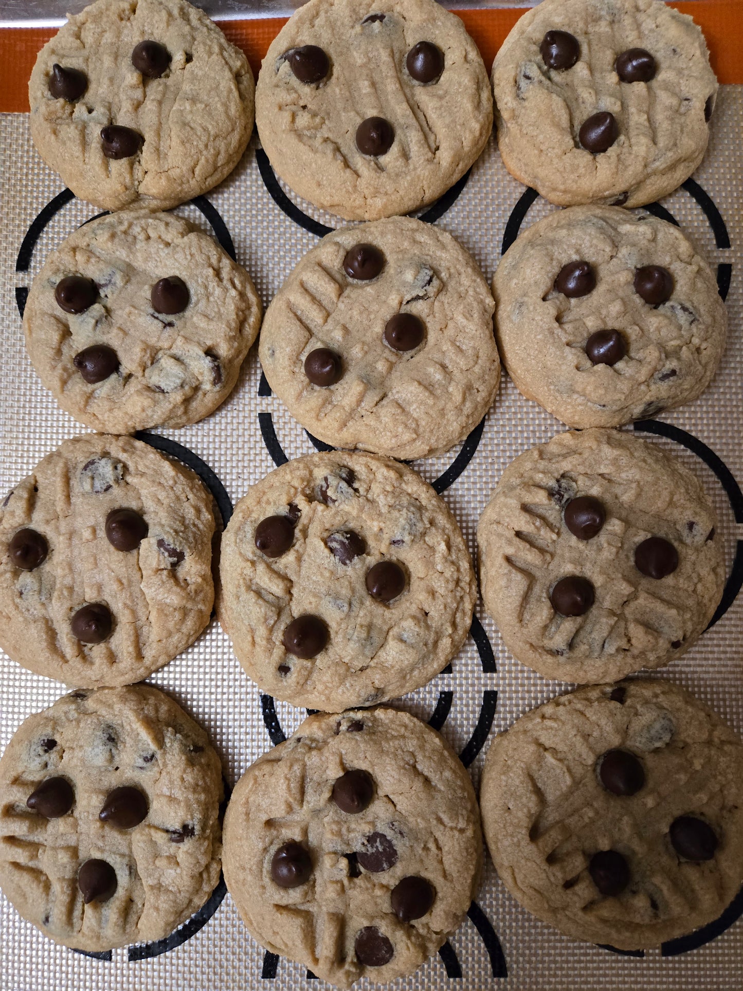 Peanut Butter Chocolate Chip Cookies