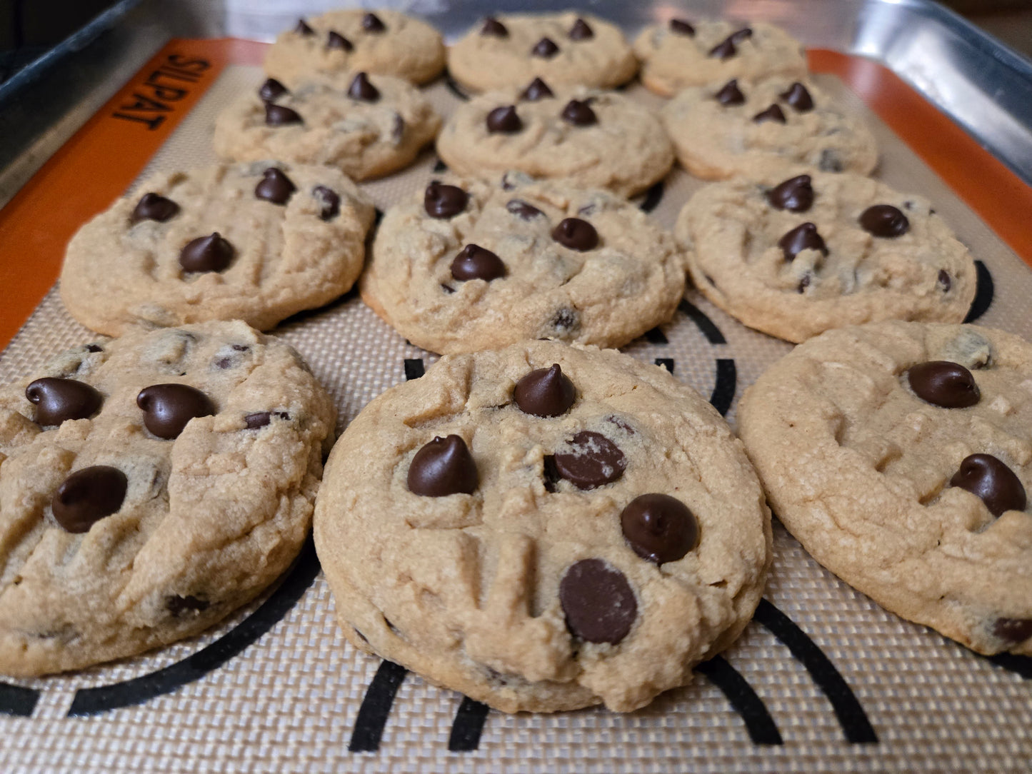 Peanut Butter Chocolate Chip Cookies