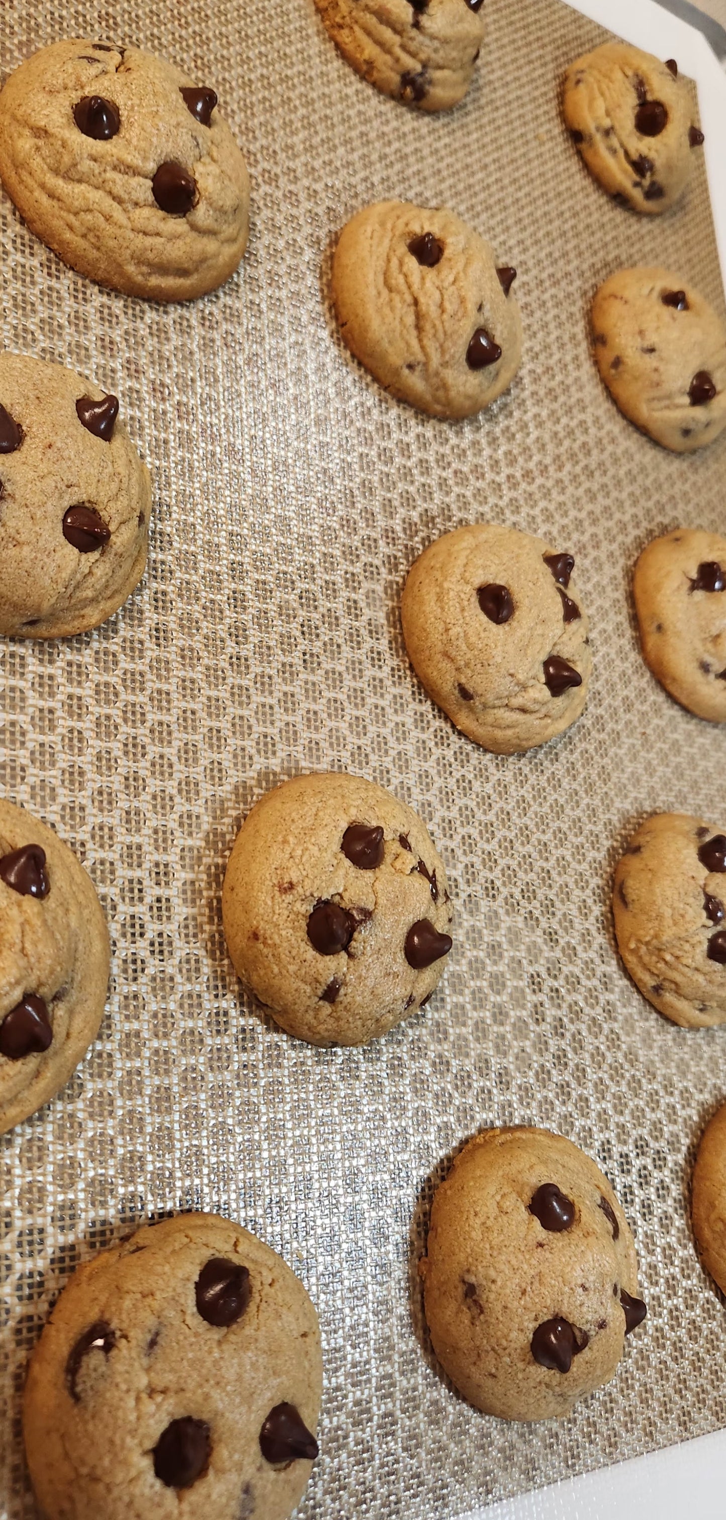 Peanut Butter Chocolate Chip Cookies