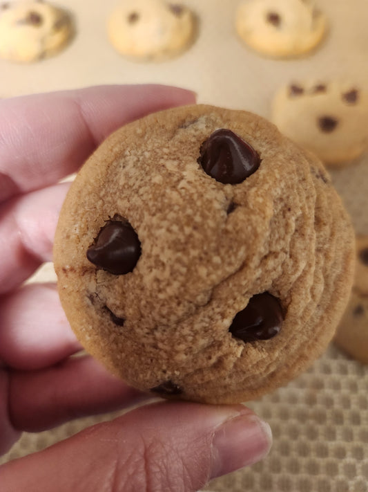 Peanut Butter Chocolate Chip Cookies