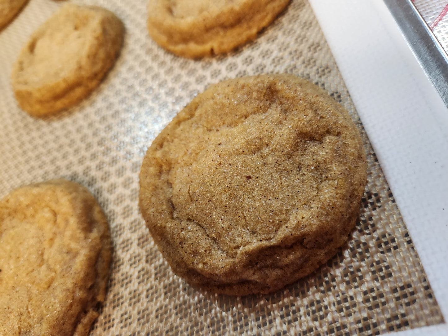 Pumpkin Doodle Cookies